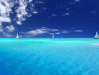 这里是热门推荐分类的标题，可以加文字427542687